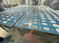 [현장] 밀 대신 가루쌀 빻는다… 가루쌀 한 톨로 23가지 제분 원료 만들어요