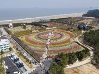 신안군, 홍매화＆튤립정원에서 2023년 섬 튤립 축제 개최