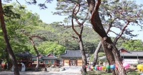 포항시, 5월 4일부터 내연산 보경사 시립공원 무료 개방