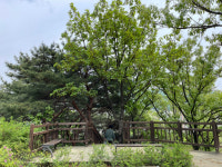 [되살아난 서울] (134) 조선 명장 임경업 장군과 연 깊은 송파구 마천동 천마근린공원