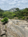 [되살아난 서울] (137) 옛 풍류 만끽하는 서울 인왕산 숲길