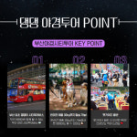 부산시티투어, ‘댕댕아! 우리 야경투어 갈까?’ 투어 진행