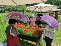 남양주시농업기술센터, 치유농업 프로그램 운영