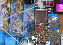 노량진수산시장·가락시장도 곧 온누리상품권 받는다