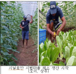 농진청,필리핀에 채소 생산기술 전수 본 궤도