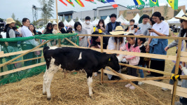 2023 평택마시멜롱축제...3일 동안 2만여 명 방문
