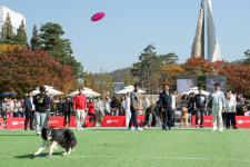 2023 고양 동물교감치유 문화제에 반려인 2만 명 찾아