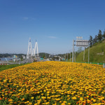 진도군, 2023년 탄소중립 나무심기 평가 우수상 수상