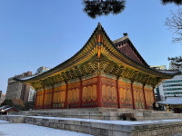청담전통문화연구원'명고궁' | [되살아난 서울] (152) 고종과 명운을 함께한 宮, '덕수궁'