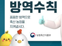 조류인플루엔자 현재진행형...지난주 제주서만 의심 3건