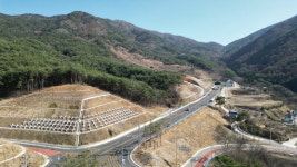 산청군, 지리산터널 일원 ‘홍단풍 가로수길’ 조성