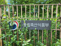 수출용 동물의료기기 인증서 1호 발급