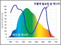 태양광 비밀 푼 비닐하우스 특수 필름 상용화 전망…농가 수익 증대 기대