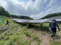 경남도, 풍수해 대비 태양광발전소 합동점검