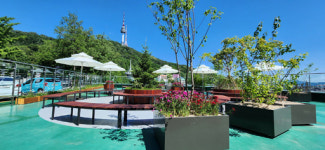 “유휴공간 재탄생”…용산도서관, 옥상공원 ‘두텁바우 정원’ 전면 개장