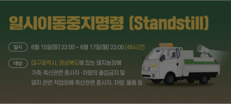 경북 영천서 돼지열병 양성...대구·경북도에 이동중지명령 발동