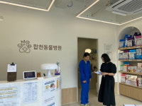 합천군, 청년·여성 창업 지원사업 전수 조사 진행
