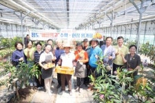 청도군, MZ세대 입맛 잡을 청도 애플망고 본격 출하