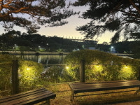 울산체육공원, 호반산책로 야간 경관조명 설치 완료