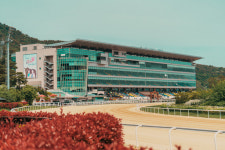 한국마사회 렛츠런파크 부산경남, 9월 경마시행 계획 발표