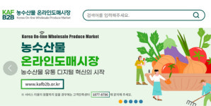 주식회사 농축산물도매센터백두산 | 가공용 쌀의 '온라인도매시장' 거래 연내 개시...시간·비용 절감, 원료 고급화 기대