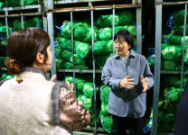송미령 장관 배추 등 수급안정에 식품업계 협조 절실