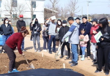 평택시, 농업생태원 시민텃밭 분양