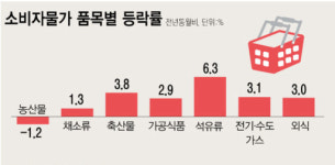 물가 두 달째 2%대 상승...원화약세 여파 석유류 6%대↑