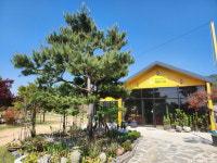 [르포]우리 농촌 스며든 힐링...이용객 40만 바라보는 치유농업서비스