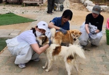 스태츠칩팩코리아 봉사단, 유기동물 보호 앞장