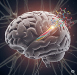 국내 제약·바이오, 뇌질환 잡는 K신약...CNS 시장 향한 브레인 경쟁
