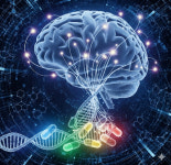 국내 제약바이오, 신성장동력 CNS 치료제...국산 신약부터 기업공개까지 활로 모색