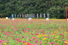 청송군, 자연과 삶이 공존하는 ‘살기 좋은 1등 도시’로 자리매김