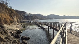 포항시, 호미반도 해안둘레길 새단장…보행 안전성 강화