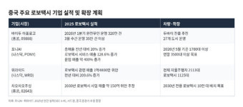 [굴기, 중국 첨단산업-4. 로보택시] 中 자동차, 제조 마진 한계에 자율주행 기술 마진 찾는다