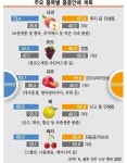 경북도, 과일 생산·유통 혁신  과수산업 선진지로 성큼