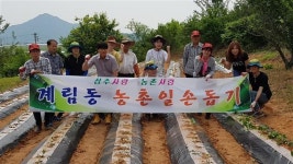 상주시청 직원 등 계림동서 농촌 일손돕기