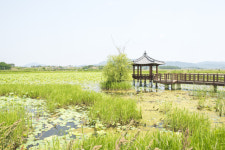 ◆우리동네자랑 -의성군 서부지역
