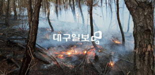 구미 고아읍 대망리서 산불
