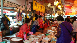 경산시 자인면 이팝나무·팬지꽃 만발, 아름다운 거리의 미관 장관