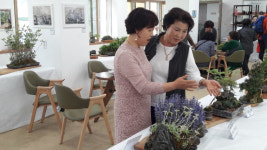 군위군, 들꽃연구회 야생화 전시