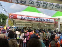 영천시, ‘영천별빛한우’ 축제장 방문객 입맛 사로잡아 