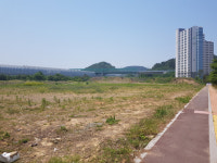 대구 북구 금호지구, 고등학교 부지 14년째 방치 주민 불편 이어져