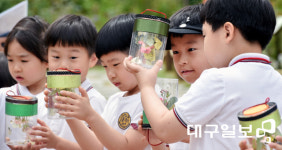 ‘2019 봉무공원 곤충 페스티벌 ’