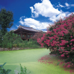 우리동네 자랑- 김천시(상)