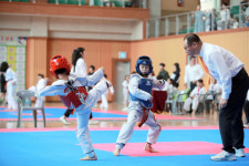 제2회 청도군수배 태권도대회