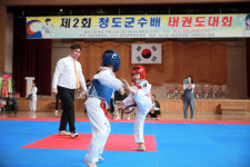 제2회 청도군수배 태권도대회