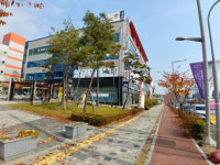 경매정보