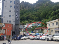경매정보