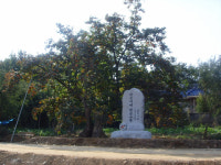 우리동네자랑<상>- 남상주